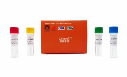 禽流感病毒H5N2亞型檢測試劑盒（雙色實(shí)時熒光PCR法）